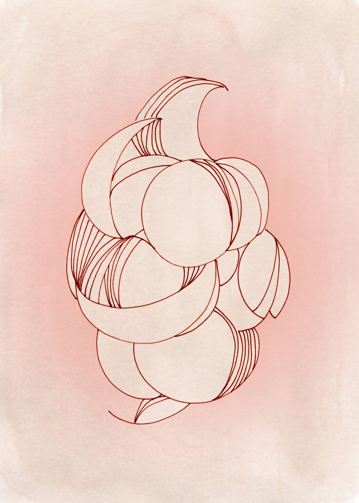 Delicate Petal Forms by Jenja Braun