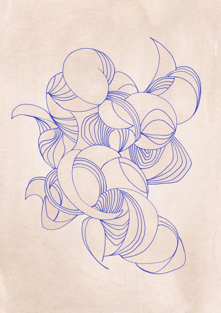 Fluid Organic Lines by Jenja Braun