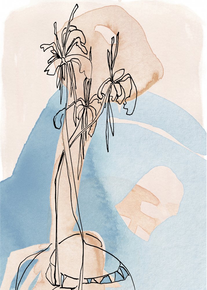 Soft Botanical Lines by Jenja Braun