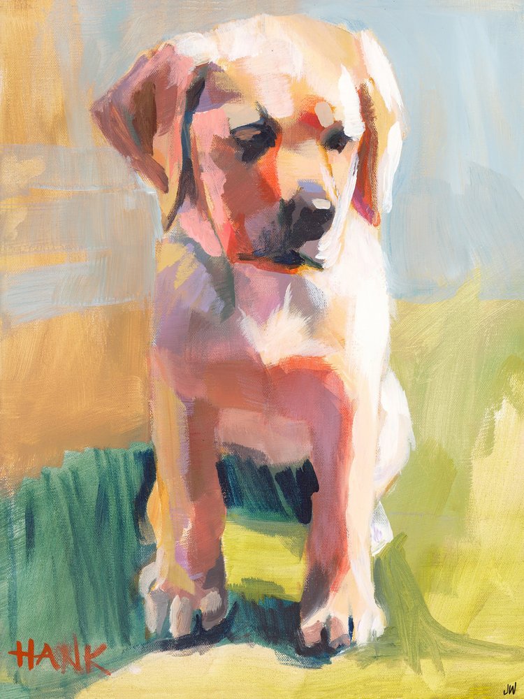 Hank by Jenny Westenhofer