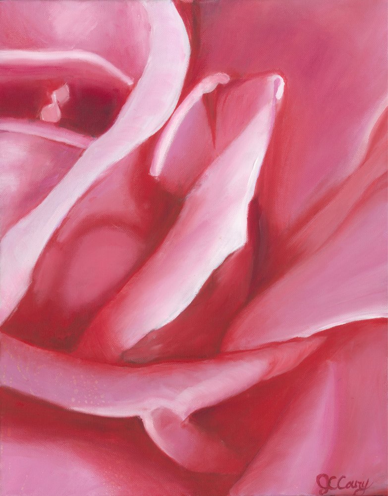 Soft Pink Rose Petals by Jillian Claire