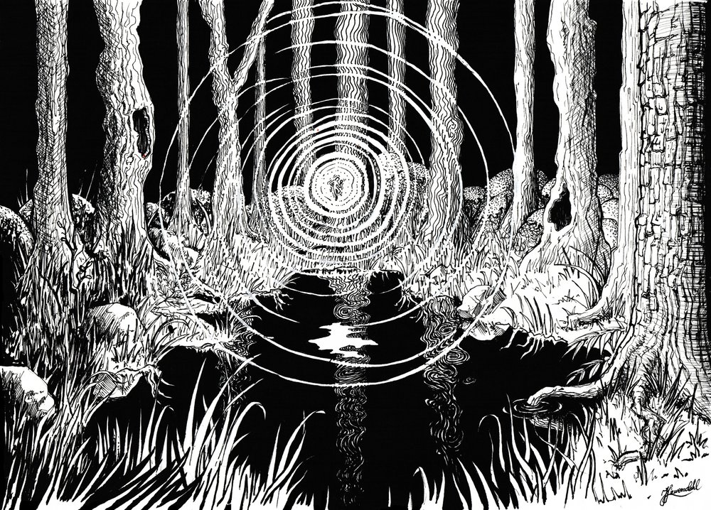 Mystical Forest Ripples by Johan Liewendahl