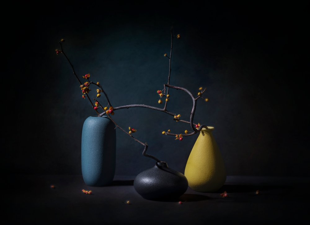 Elegant Branch Still Life by John-Mei Zhong