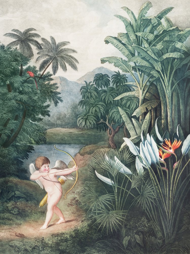 Cupid Inspiring Plants With Love From the Temple of Flora (1807) by John Thornton