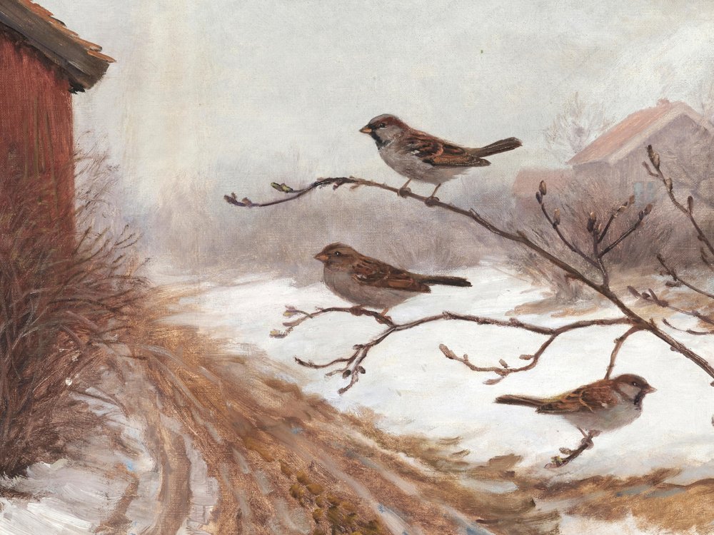 Winter Barn Sparrows by Jolly and Dash
