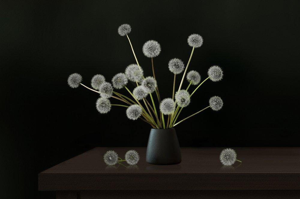 Quiet Dandelion Arrangement by Juan Antonio Palacios