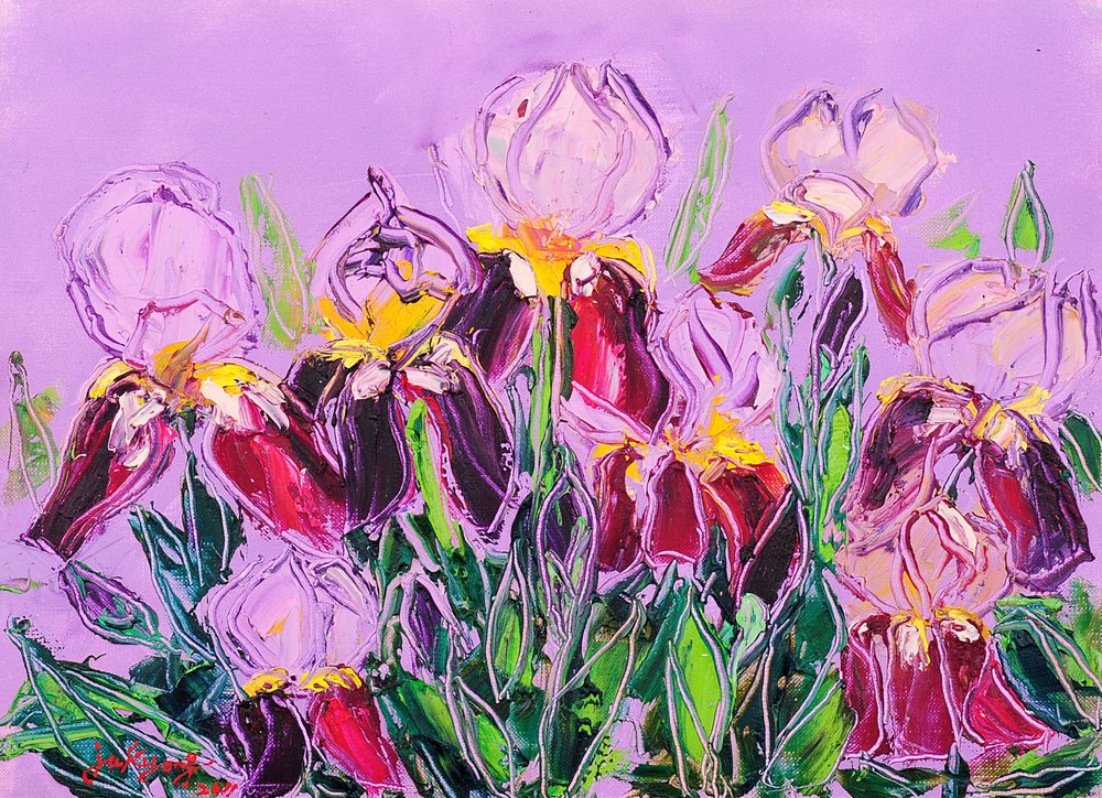 Colorful Iris Garden by Jukyong Park