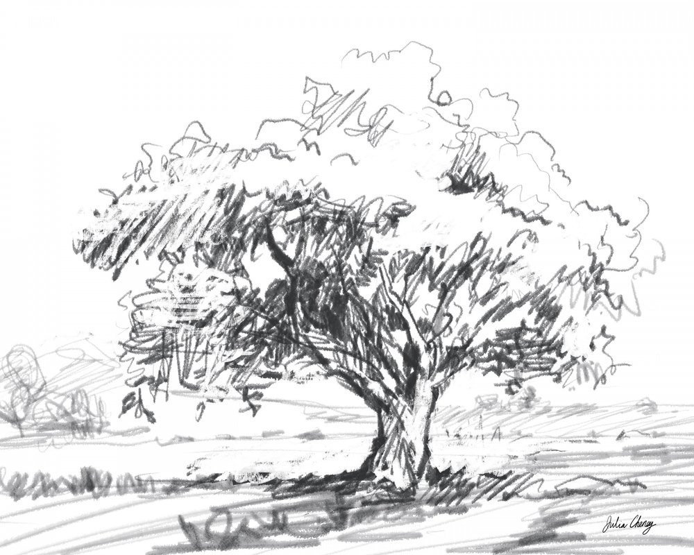 Rustic Tree Drawing by Julia Cheney