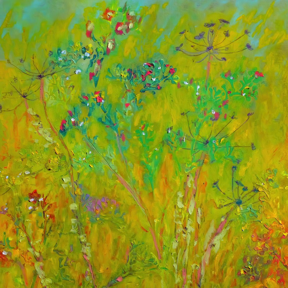 Colorful Wildflower Field by Justyna Jaszke