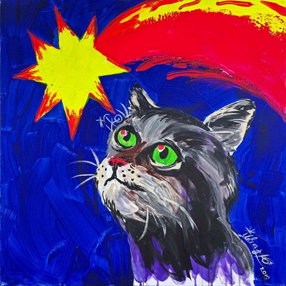 Cat and Comet by Kanat Ibragimov