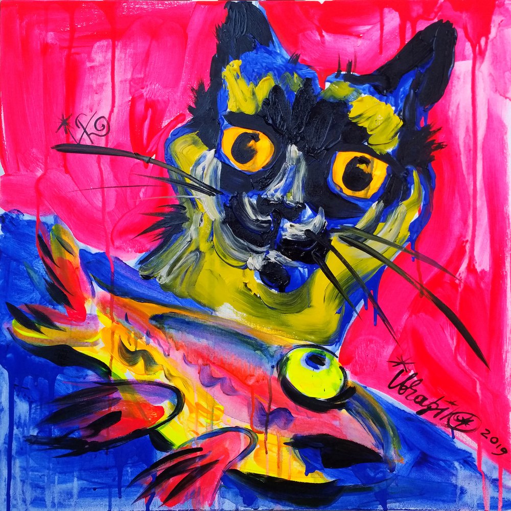 Expressive Cat and Fish by Kanat Ibragimov