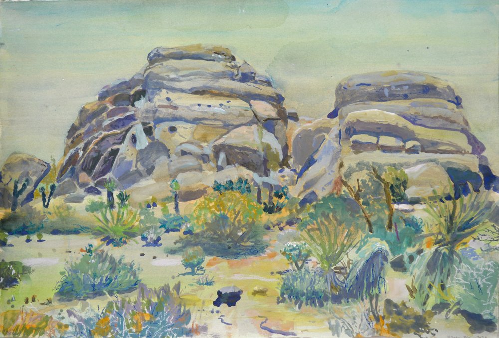 Joshua Tree Landscape by Karin Bos