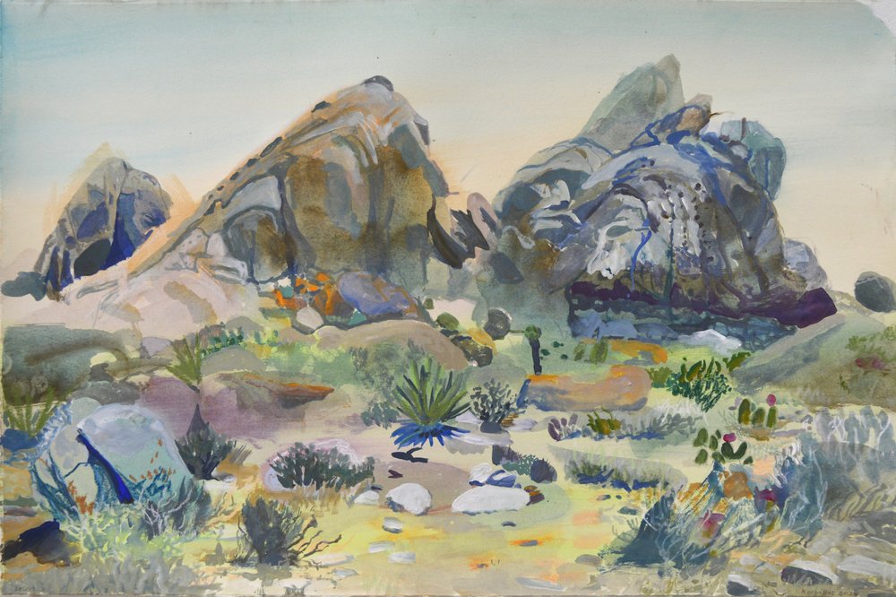 Southwest Desert Rocks by Karin Bos