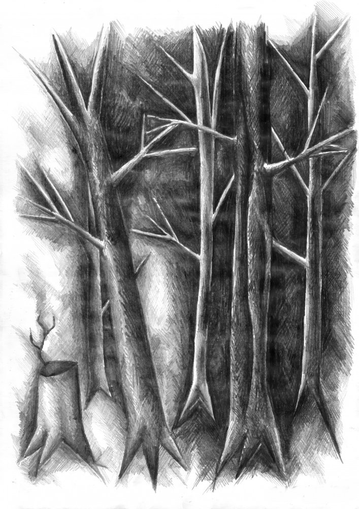 Dark Forest Renewal by Kulik