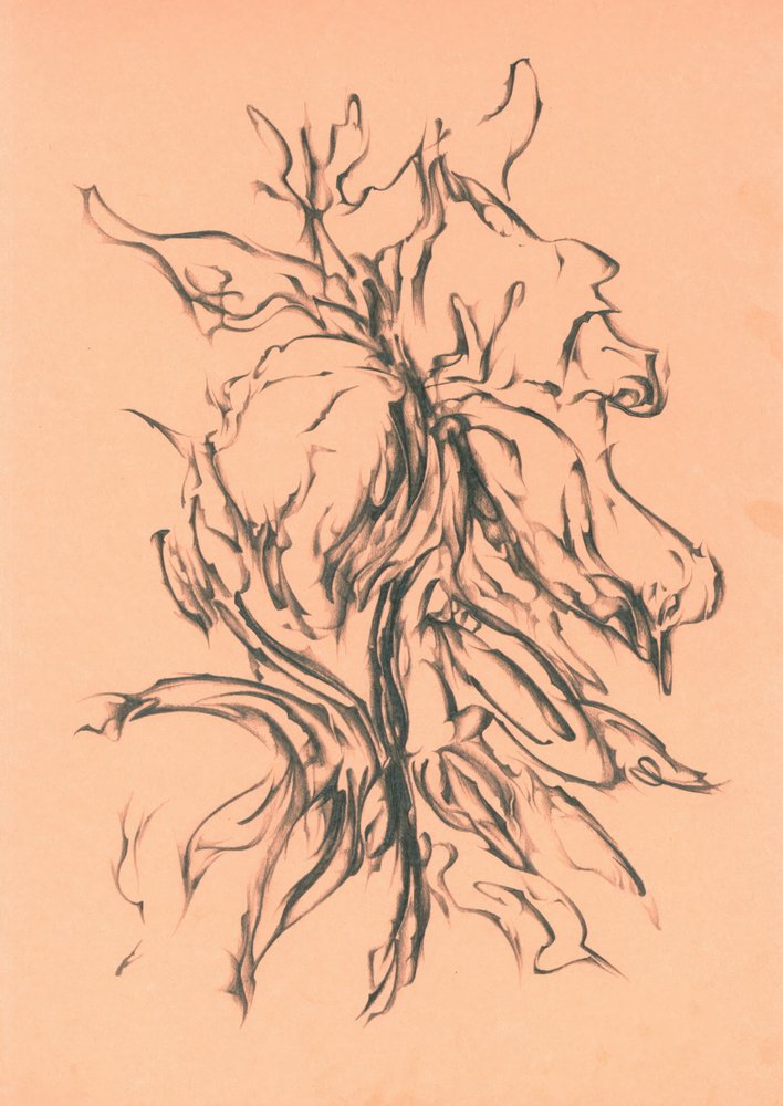 Dynamic Charcoal Growth by Kulik
