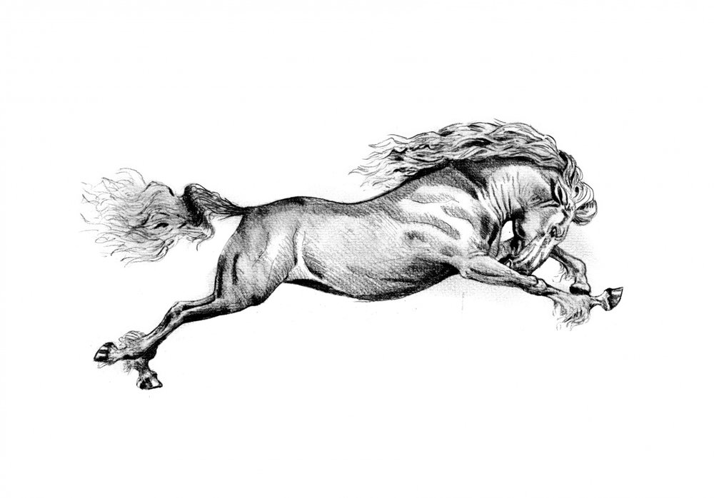 Galloping Wild Horse by Kulik