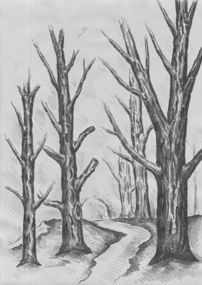 Path Through Stark Trees by Kulik