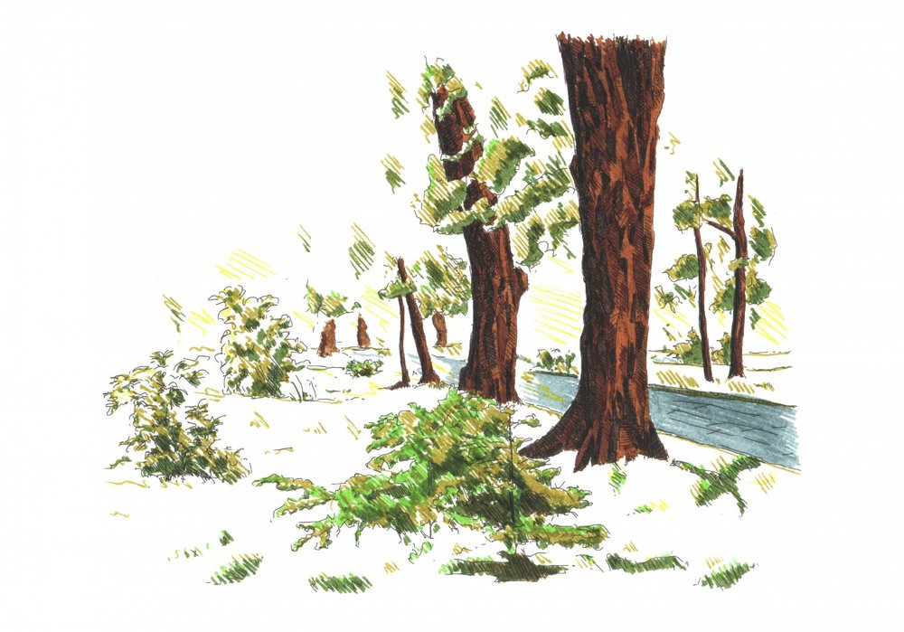 Quiet Winter Woods by Kulik
