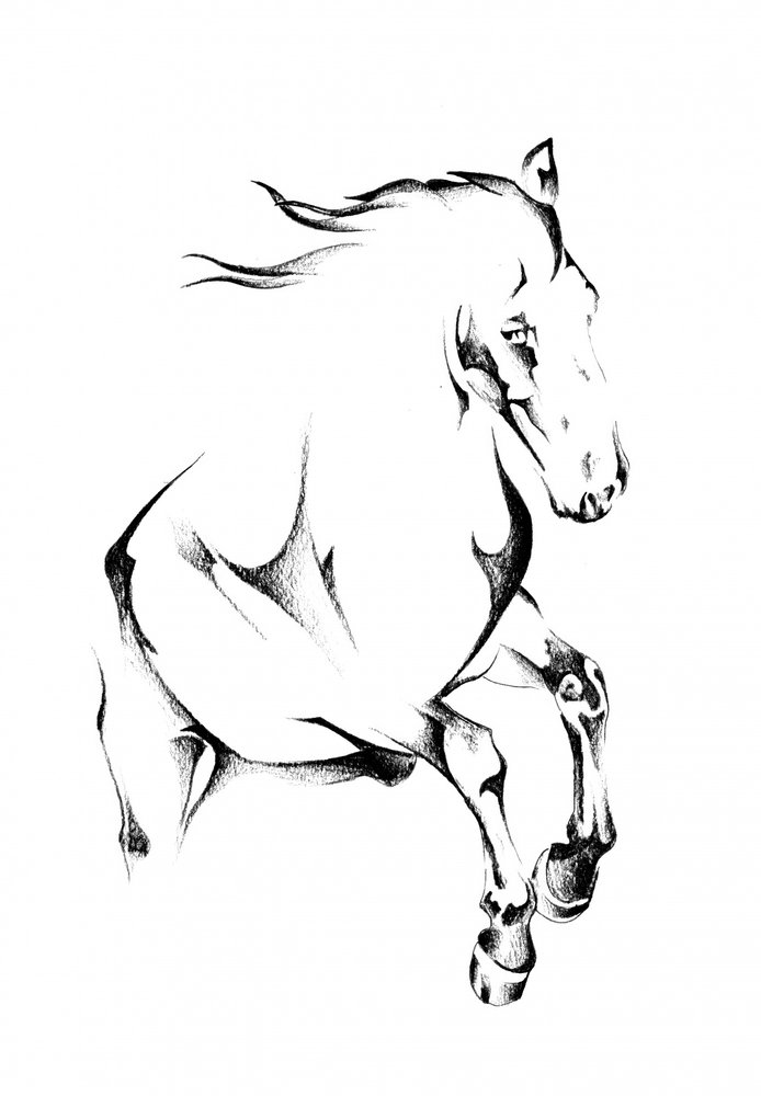 Rearing Wild Horse by Kulik