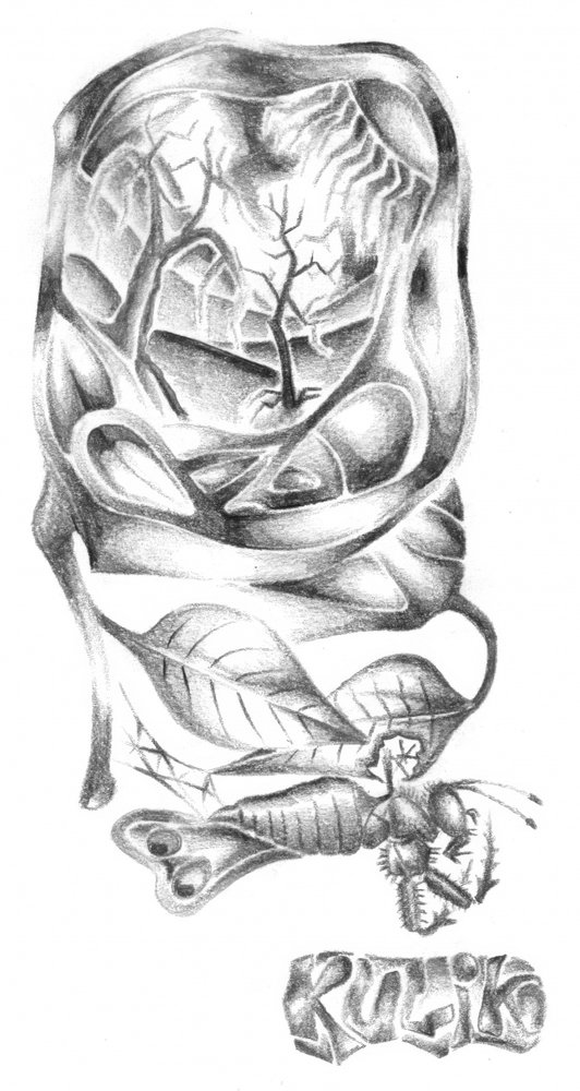 Surreal Forest Insect by Kulik