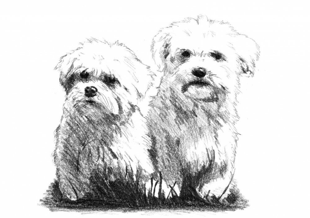 Two Fluffy Puppies by Kulik