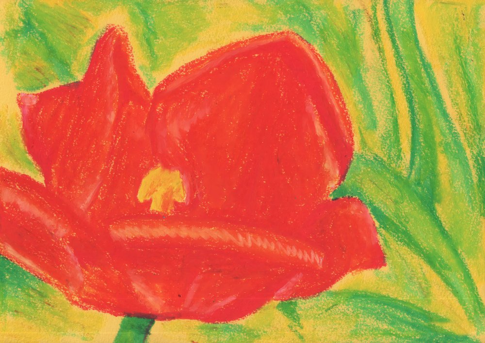 Vibrant Red Tulip by Kulik