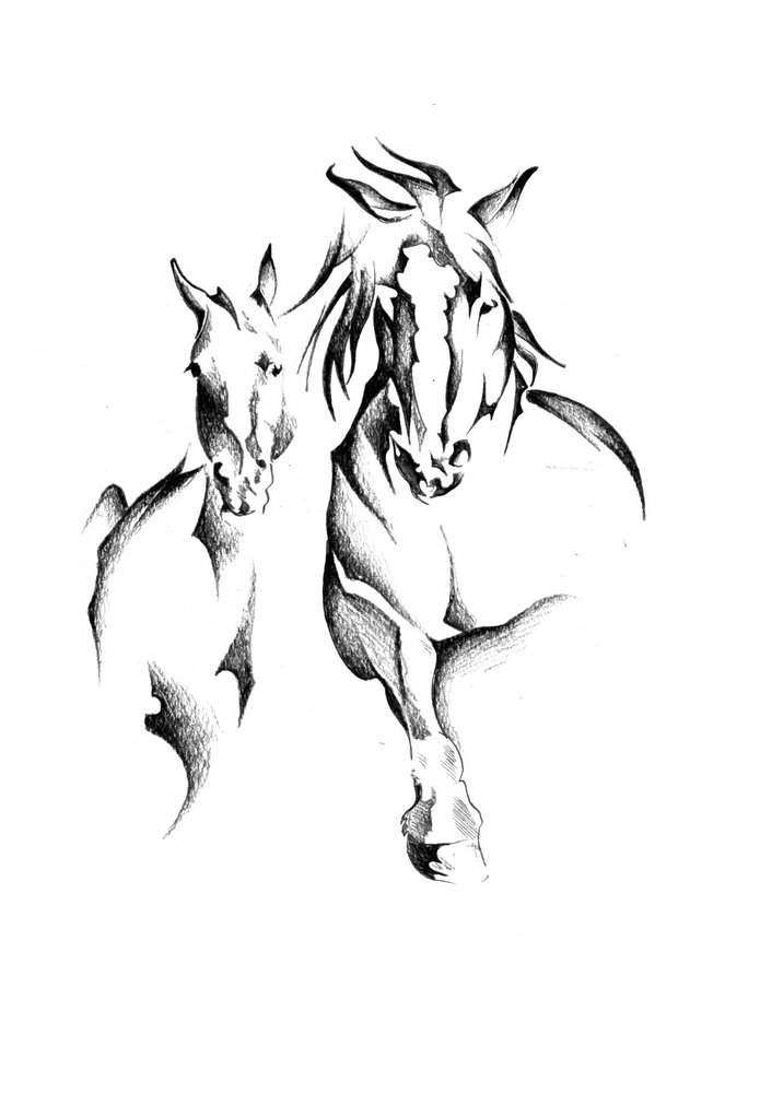 Wild Horse Duo by Kulik
