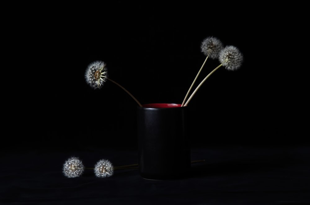 Elegant Dandelions Vase by LM Meng