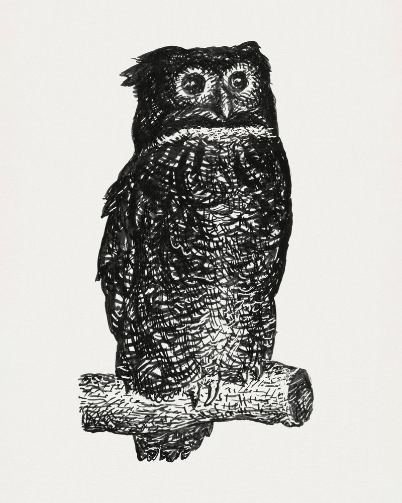 Owl by Leo Gestel