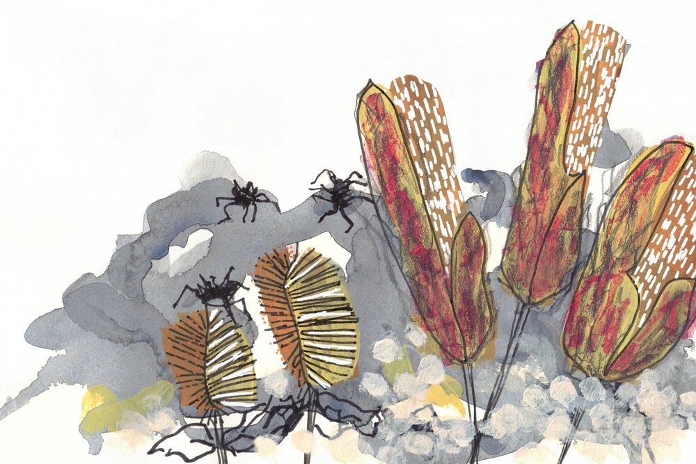 Botanical Banksia Spiders by Lori Ann Folz