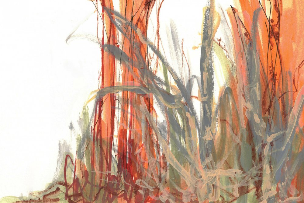 Colorful Reed Abstract by Lori Ann Folz