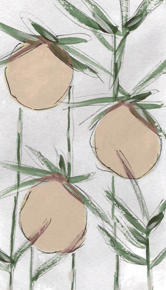 Fresh Painterly Peaches by Lori Ann Folz