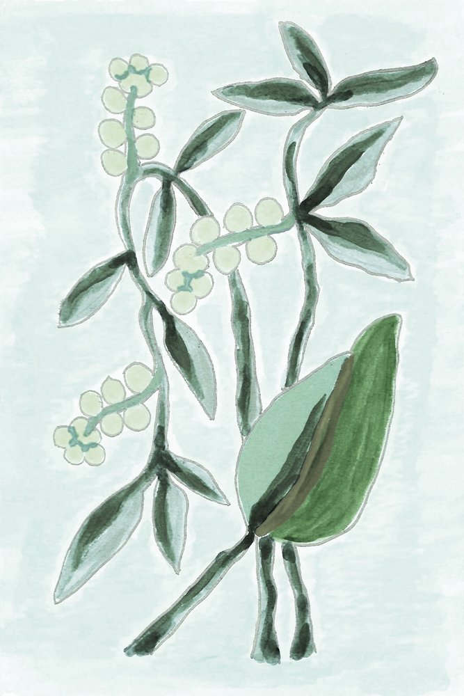 Green Botanical Watercolor by Lori Ann Folz