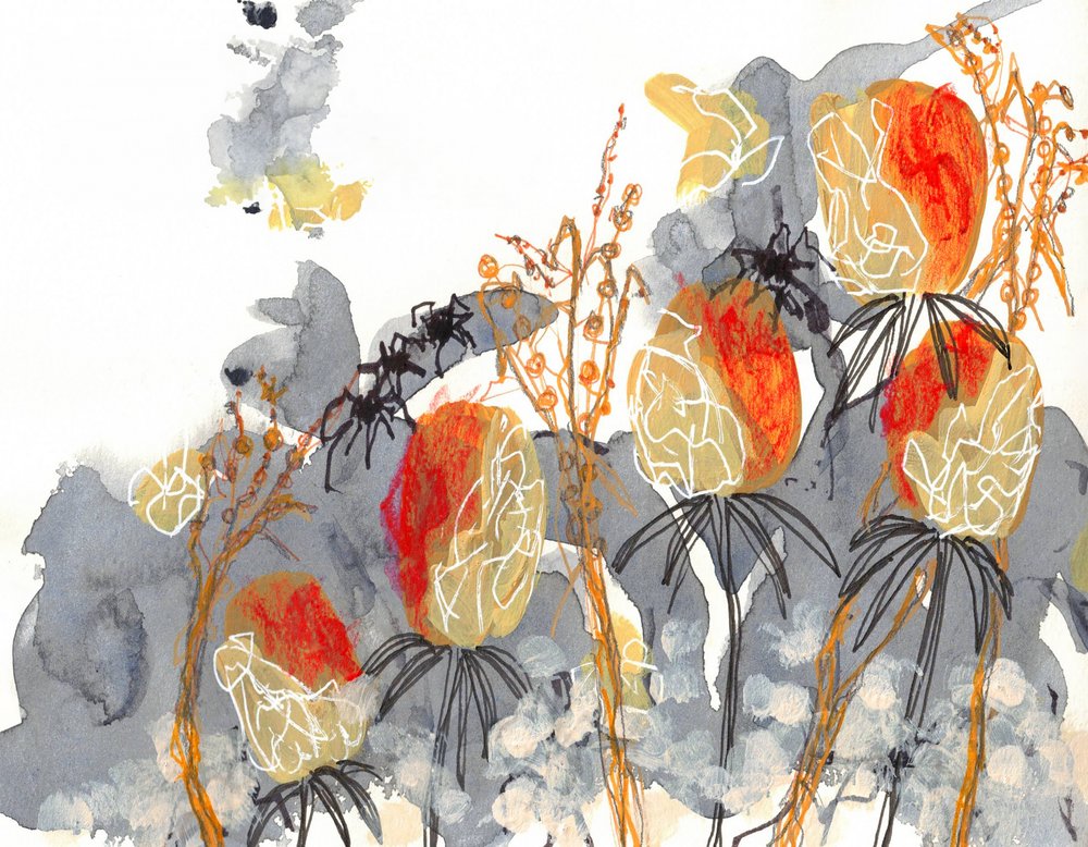 Orange Banksia with Spiders by Lori Ann Folz
