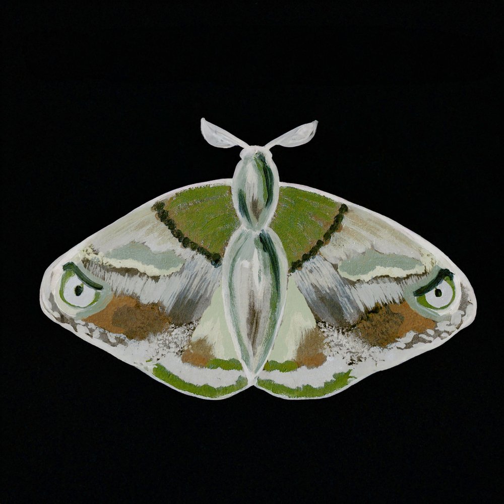 Striking Green Moth by Lori Ann Folz