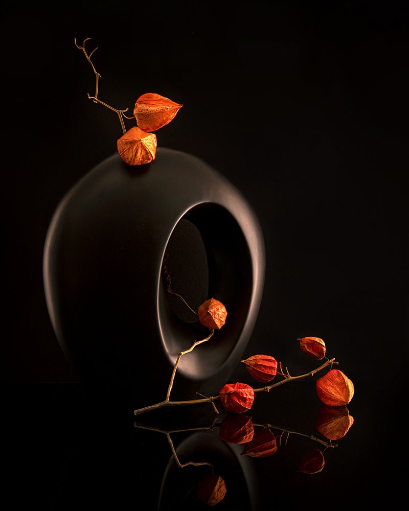 Orange Botanicals Black Vase by Louie Luo