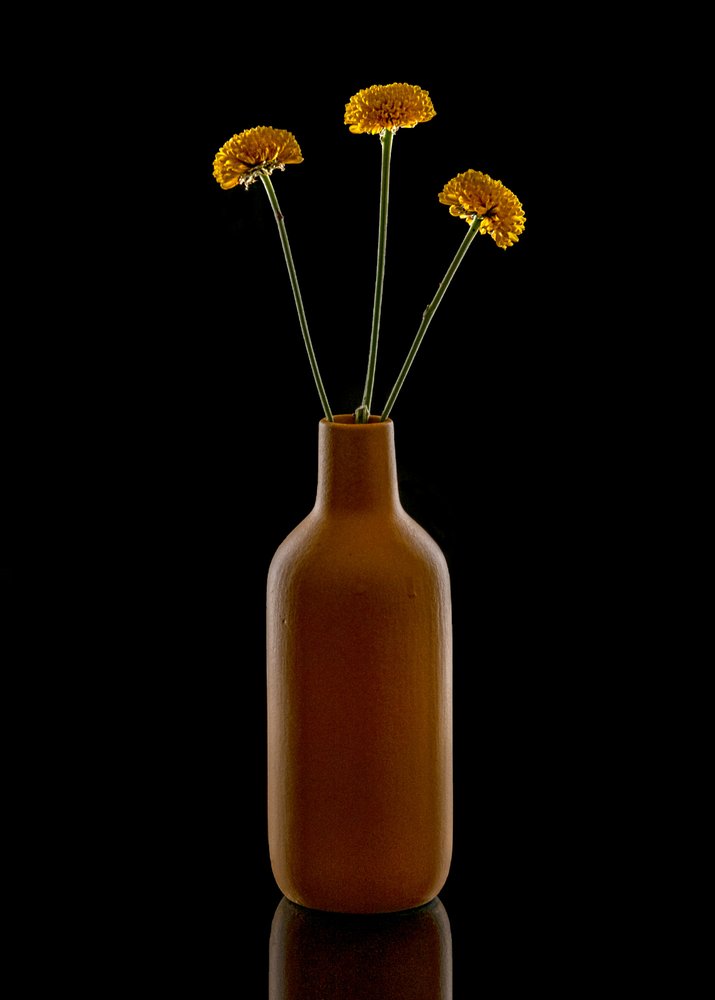Warm Flowers Brown Vase by Louie Luo