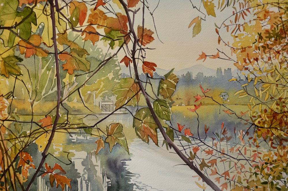 Autumn Leaves Over Water by Luisa Millicent