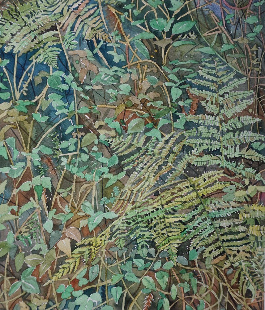 Lush Forest Ferns by Luisa Millicent
