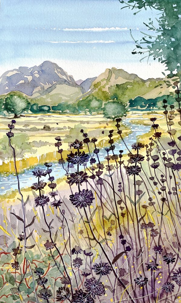 Mountain River Wildflowers by Luisa Millicent