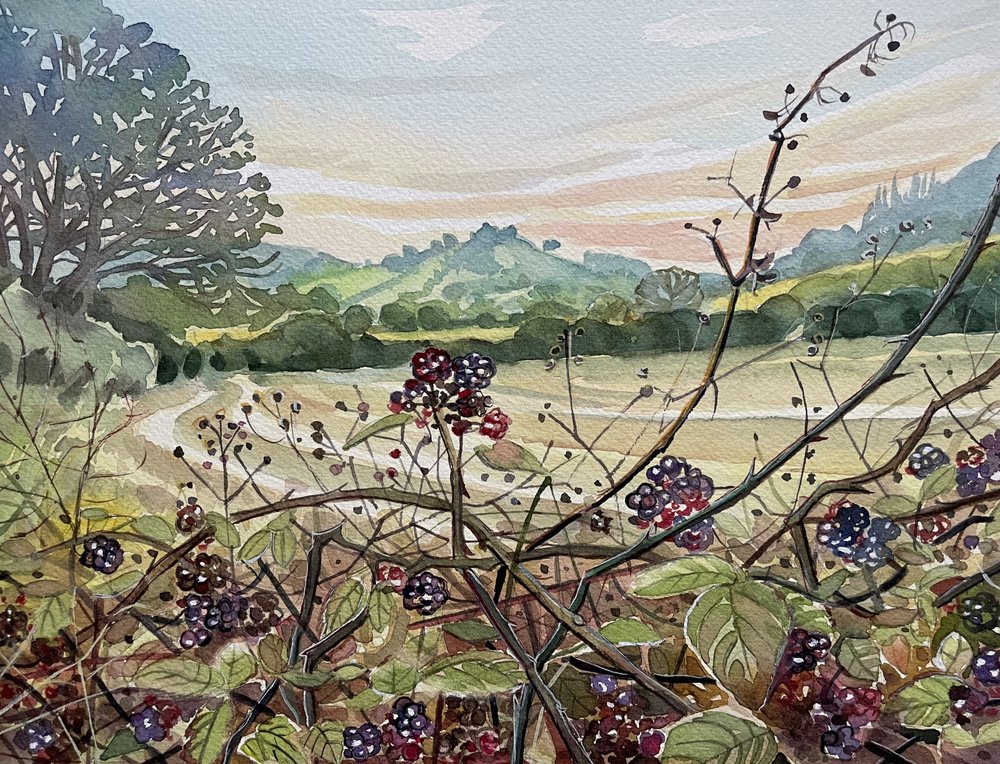 Ripe Blackberries Landscape by Luisa Millicent