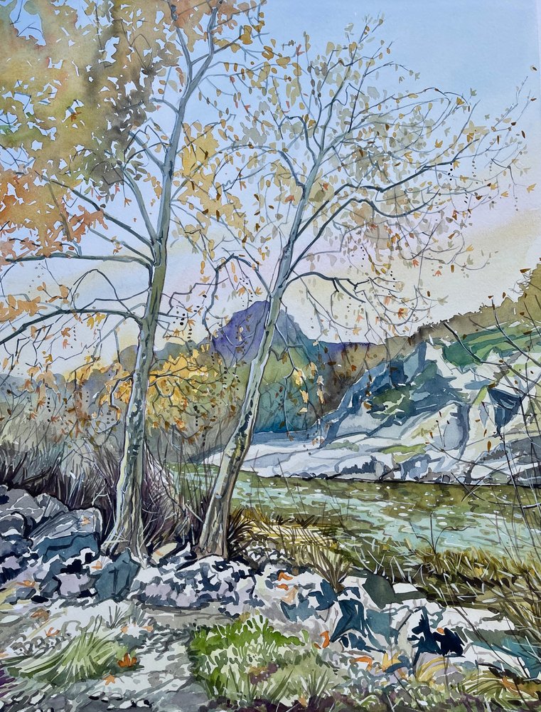 Tranquil Autumn River by Luisa Millicent