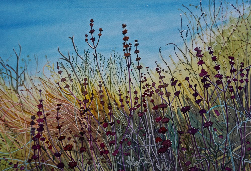 Vibrant Wild Meadow by Luisa Millicent