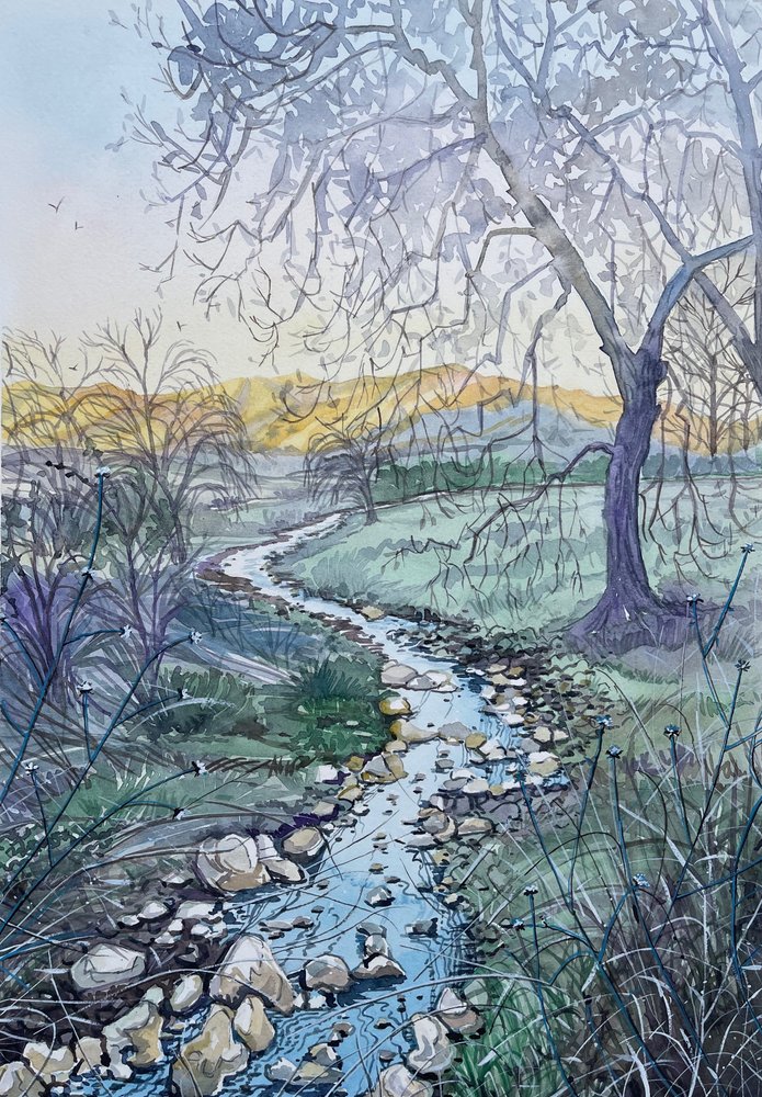 Winding Stream Sunrise by Luisa Millicent