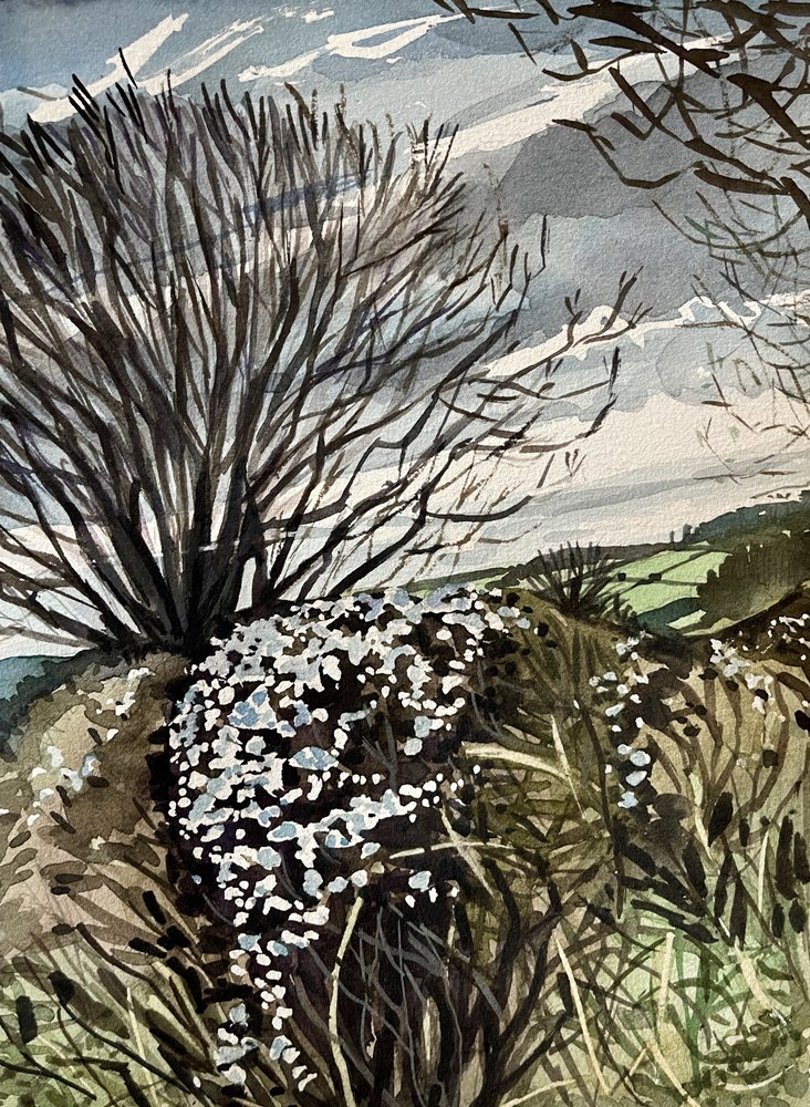 Winter Countryside Bloom by Luisa Millicent