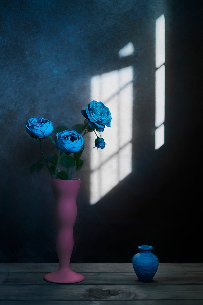 Blue Roses Window Light by Lydia Jacobs