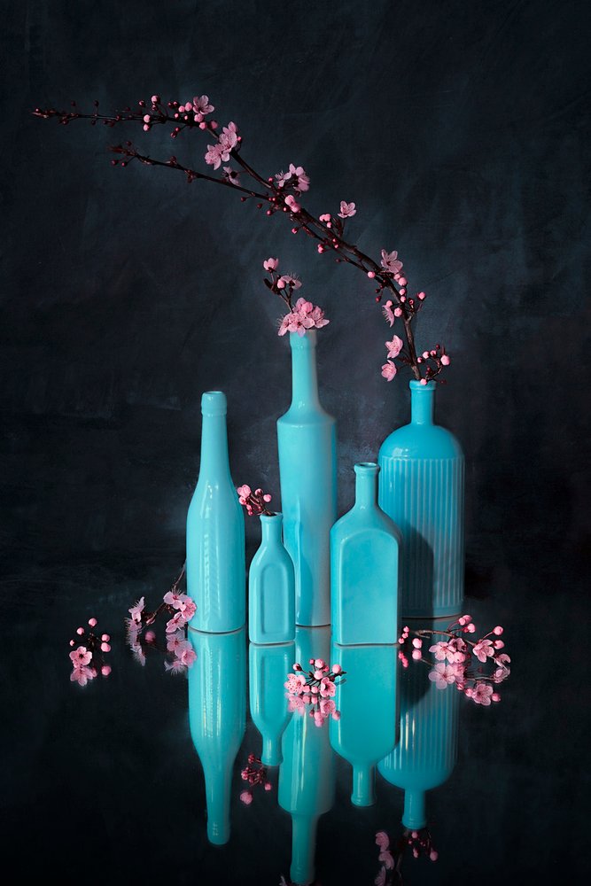 Blue Vases Pink Blossoms by Lydia Jacobs