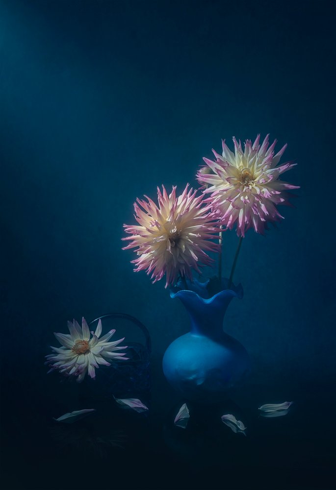 Dahlias In Blue Vase by Lydia Jacobs