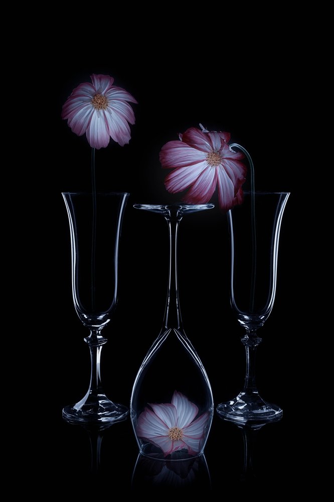 Delicate Blooms Glass Flutes by Lydia Jacobs