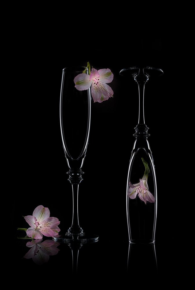 Delicate Floral Elegance by Lydia Jacobs
